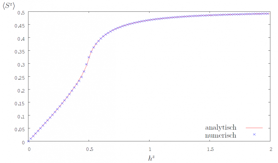 Expectation value \(S^z\) for the infinite system (after finite-size-scaling) depending on the magnetic field